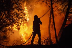 Avrupa’daki Orman Yangını Sayısı Son Yılların Zirvesinde