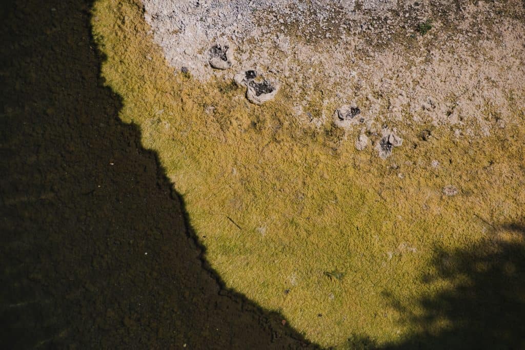 Fransa’da Kuraklık Olağan Bir Durum Haline Gelebilir