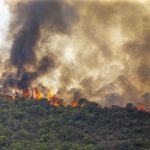 İtalya ve İspanya’da Orman Yangınları Devam Ediyor