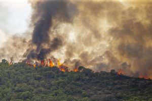 İtalya ve İspanya’da Orman Yangınları Devam Ediyor