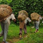 “Tedarik Zincirinde Çocuk İşçiliğini En Çok Gelişmiş Ülkeler Kullanıyor”