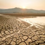 “Su Kıtlığı, Gıda Güvenliğini Tehdit Ediyor”