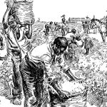 Sömürgecilikte Öncü Olmak: İngiliz Sömürgecilik Tarihi