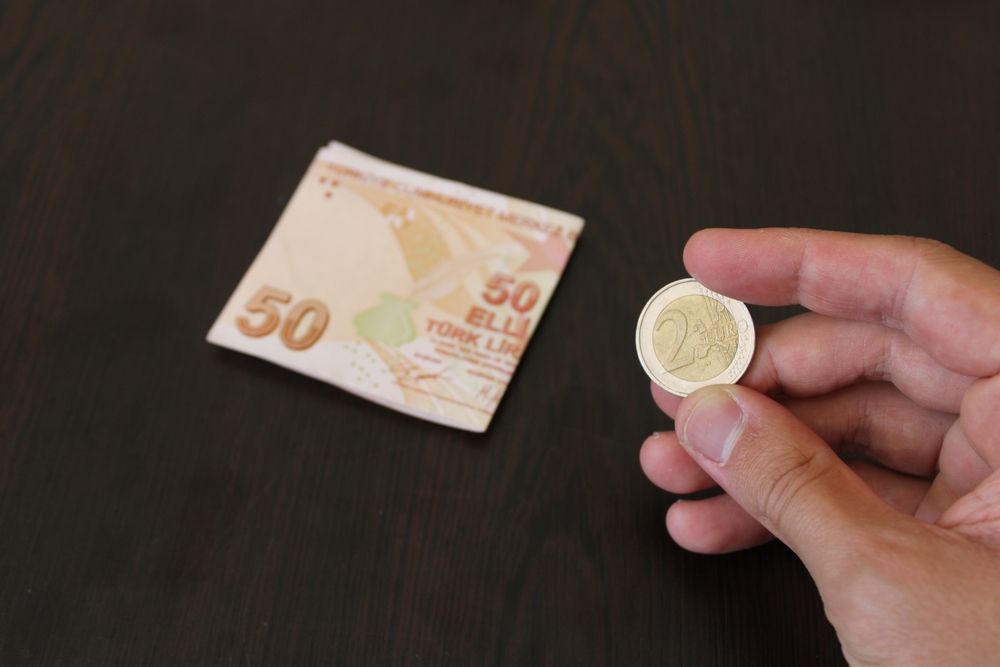 Avro Türk Lirası enflasyon