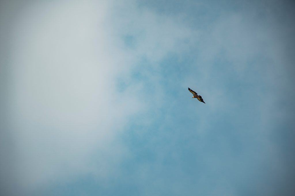 Amerika’da Bir Gassal: “Ölümü Doğrudan Karşıma Almak İstedim”