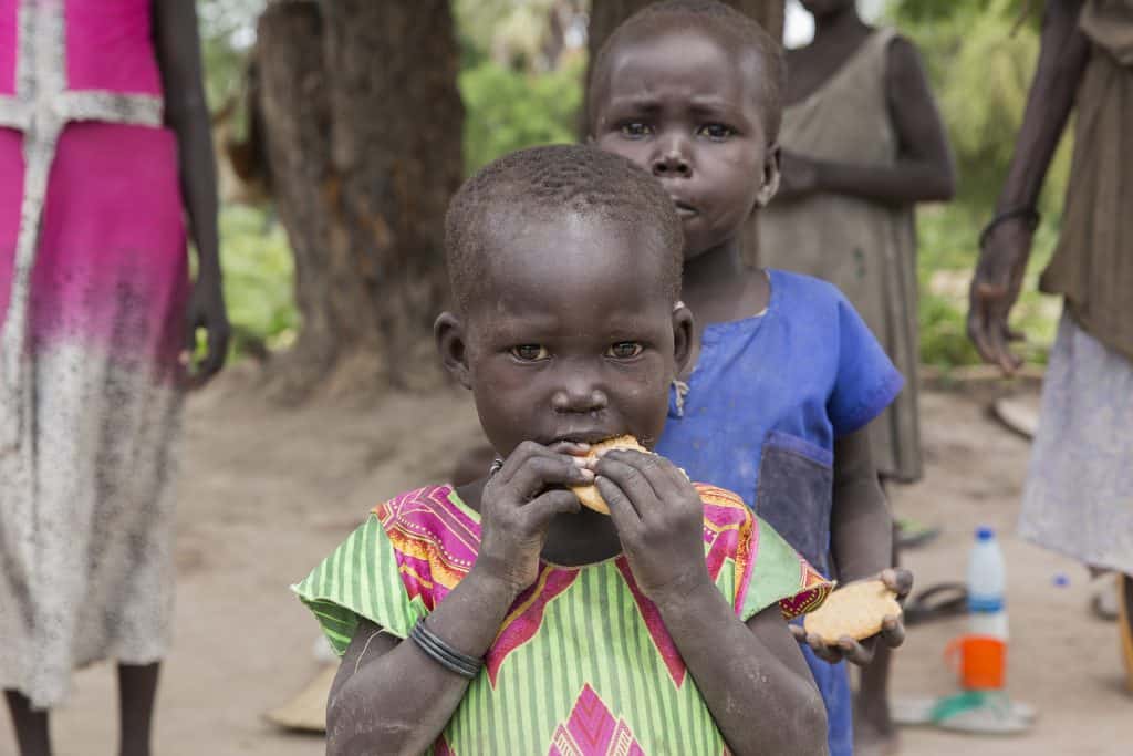 Sudan’da İnsanlık Krizi Derinleşiyor: 25 Milyon Kişi Açlıkla Mücadele Ediyor