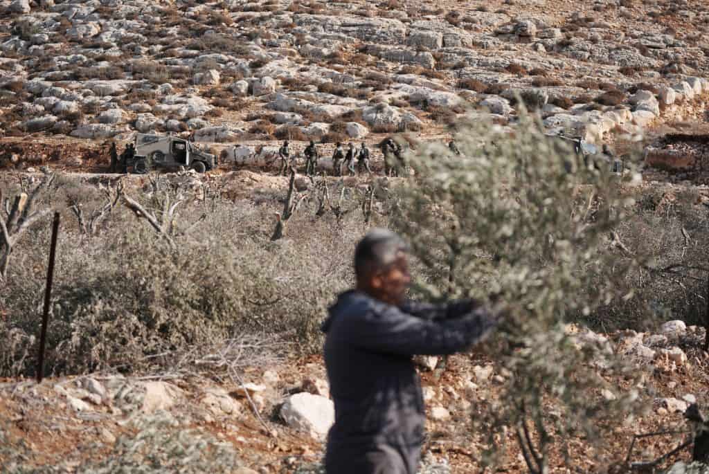 Filistin’de Bir Direniş Mevsimi Olarak Sonbahar: Zeytin Hasadı