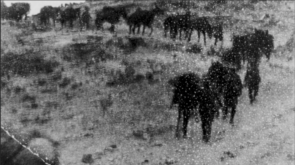 Nakba ile yerinden edilen Filistinliler- Partition- Diana Allan