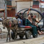 Almanya Gazze’den Eşek Kurtardı Ama Hasta Çocukları Getirmedi