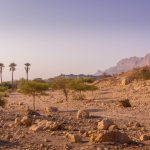 Kur’an-ı Kerim’de Hz. İsa’nın Doğumu Nasıl Anlatılıyor?