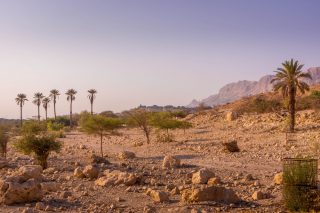 Kur’an-ı Kerim’de Hz. İsa’nın Doğumu Nasıl Anlatılıyor?