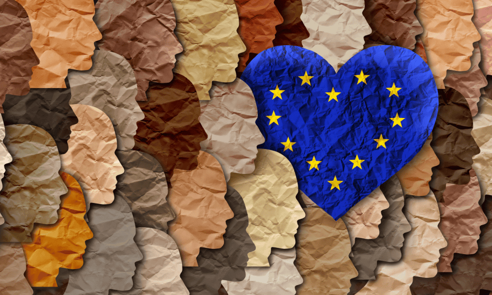 Müslüman gençler gençlik entegrasyon katılım siyasi toplum siyaset IGMG SES Academy