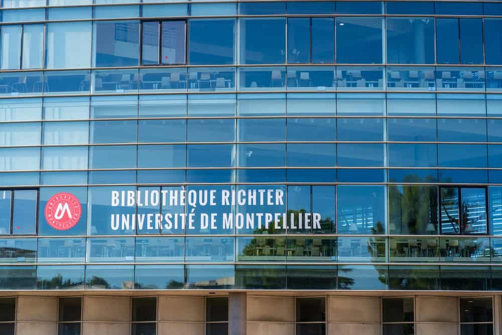 mont pellier fransa üniversite ücretsiz eğitim lisans yüksek lisans italya