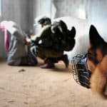 İsrail’den Filistinli Mahkûmlara “Köpekli İşkence”