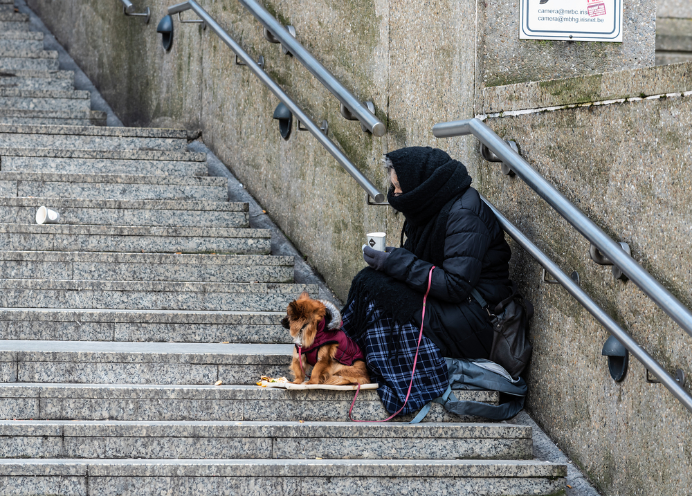 Brüksel’de Yoksulluk Kalıcılaşıyor: Her Dört Kişiden Biri Risk Altında