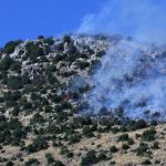 İsrail’in İnsandışılaştırma Politikası: Lübnan’da Küller, Negev’de Timsahlar