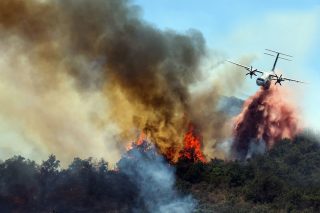 Avrupa’nın Ormanlarındaki Patlamamış Bombalar Yangınlarla Daha da Riskli Hâle Geliyor