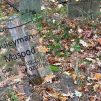 Hannover’de Müslüman Çocuk Mezarları Tahrip Edildi